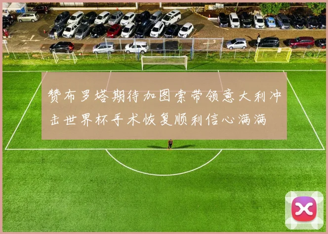 赞布罗塔期待加图索带领意大利冲击世界杯手术恢复顺利信心满满